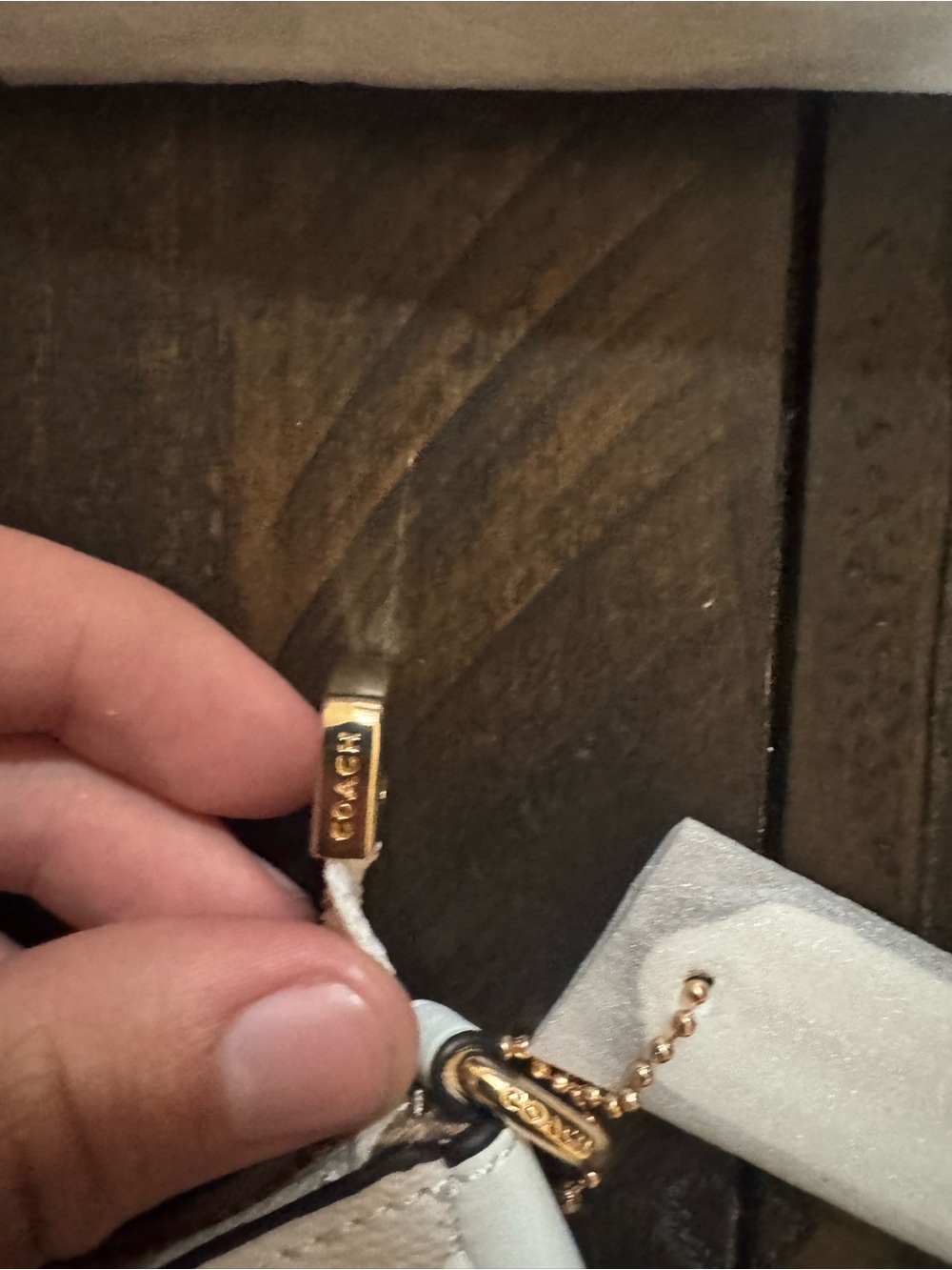 Coach Chalk Signature Mini Shoulder Bag with Gold Hardware - Picture 2 of 4